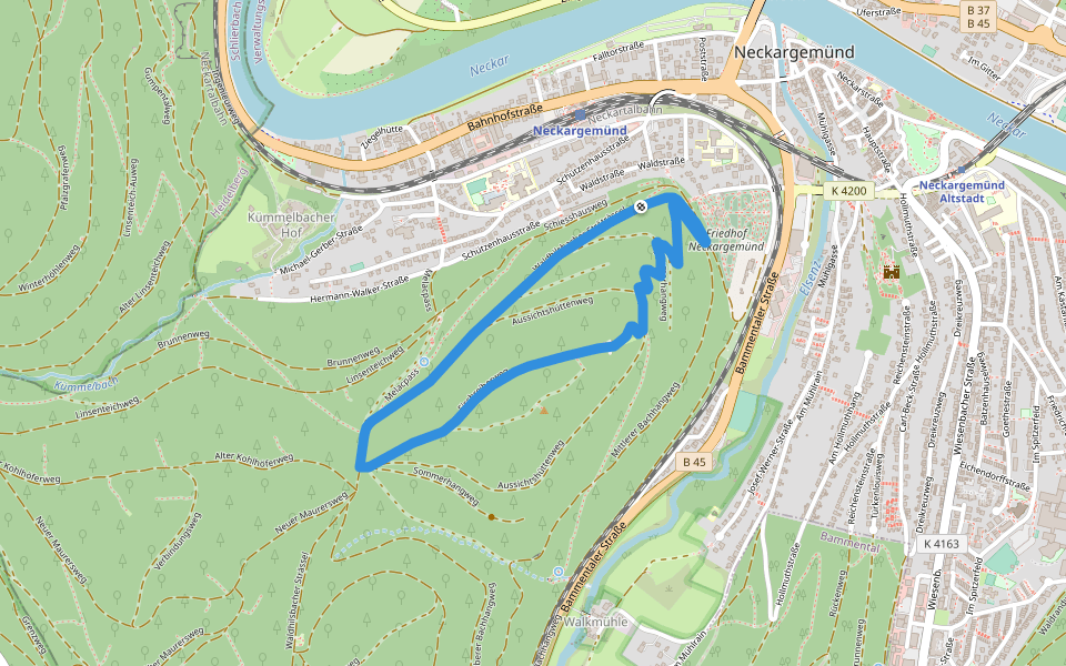 Rundwanderweg Neckarriedkopf 8 walking route map in Neckargemünd