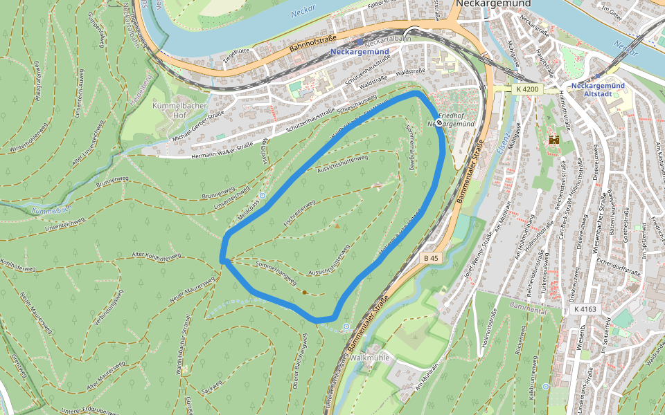 Rundwanderweg Neckarriedkopf 7 walking route map in Neckargemünd