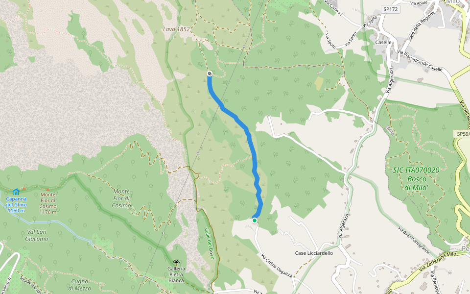 Dagalone Carrinu - Ilice Carrinu