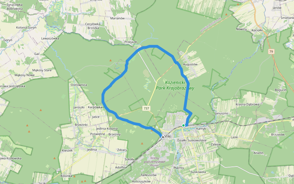 PKP Pionki - rez. "Zagożdżon" - rez. "Ponty" - PKP Pionki Zachodnie walking route map in Pionki