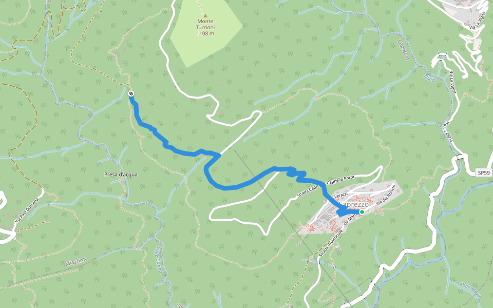 R05b Caprezzo - Alpe Mon Rous (Ôr dal Ruś) walking route map in Caprezzo