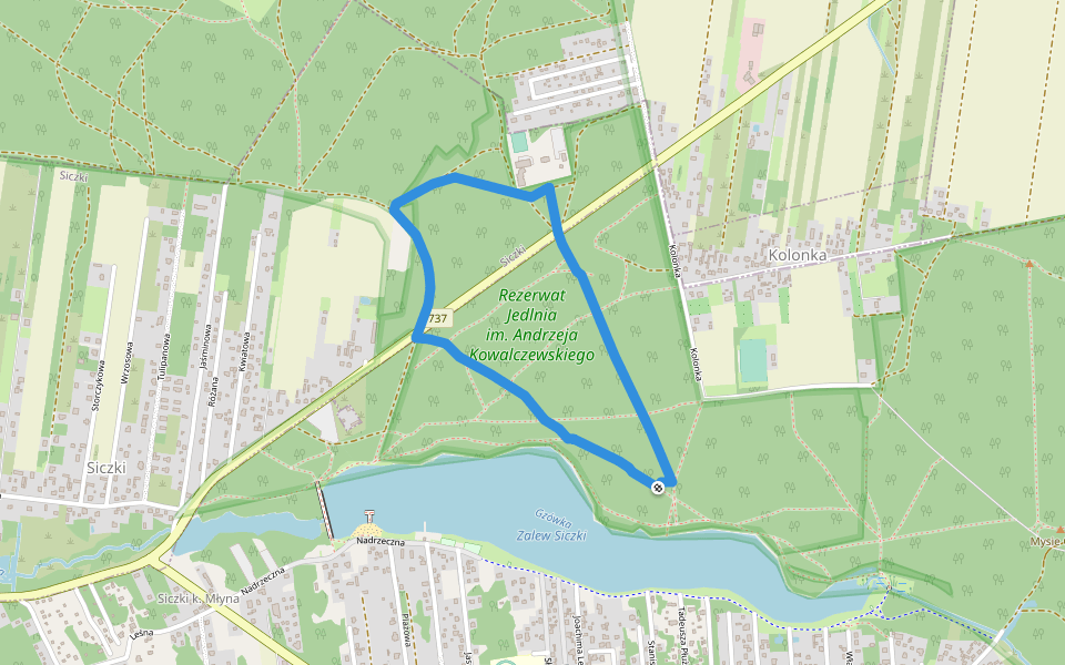 Jedlnia walking route map in Jedlnia-Letnisko