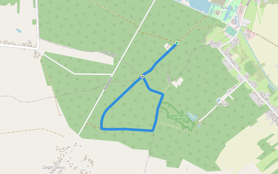 Szlakiem Uzdrowiska walking route map in Wełnin