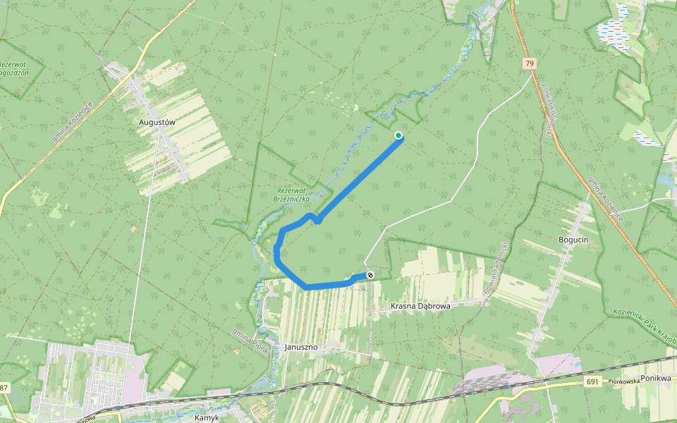 Dąbrowa nad Zagożdżonką walking route map in Nowiny