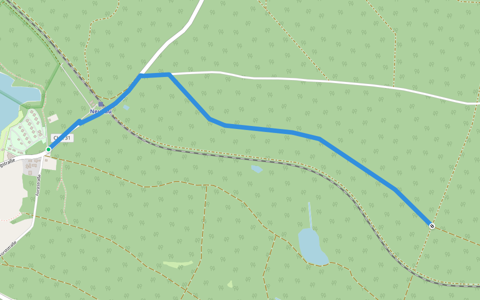 Wilder Mann 061, Naturpark Vorderer Bayerischer Wald walking route map in Roding