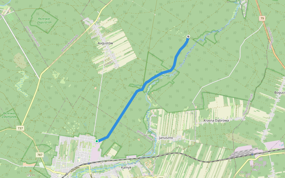 Pionki - Królewskie Źródła walking route map in Pionki
