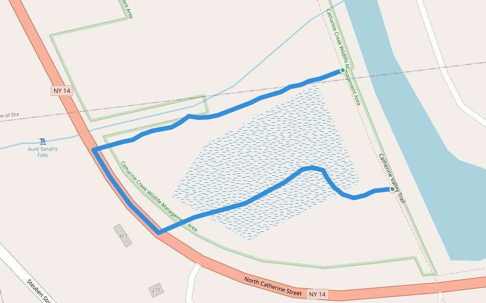 Aunt Sarah's Falls Trail Hiking Montour Falls, New York Pacer