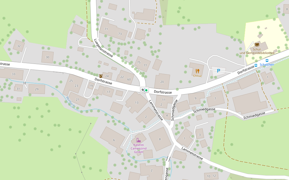 Schalchen - Hermatswil? - fixme walking route map in Wildberg