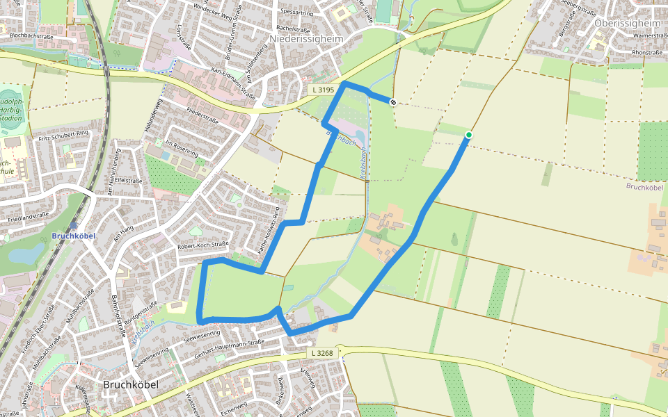 Bruchköbel Wanderweg 9 walking route map in Bruchköbel