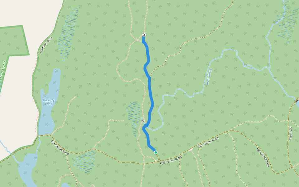 Old Forest Trail walking route map in Haddam