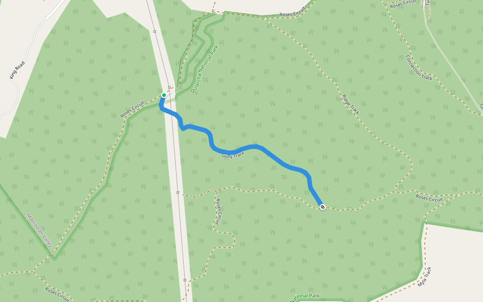 Gully track walking route map in Mooloolah Valley