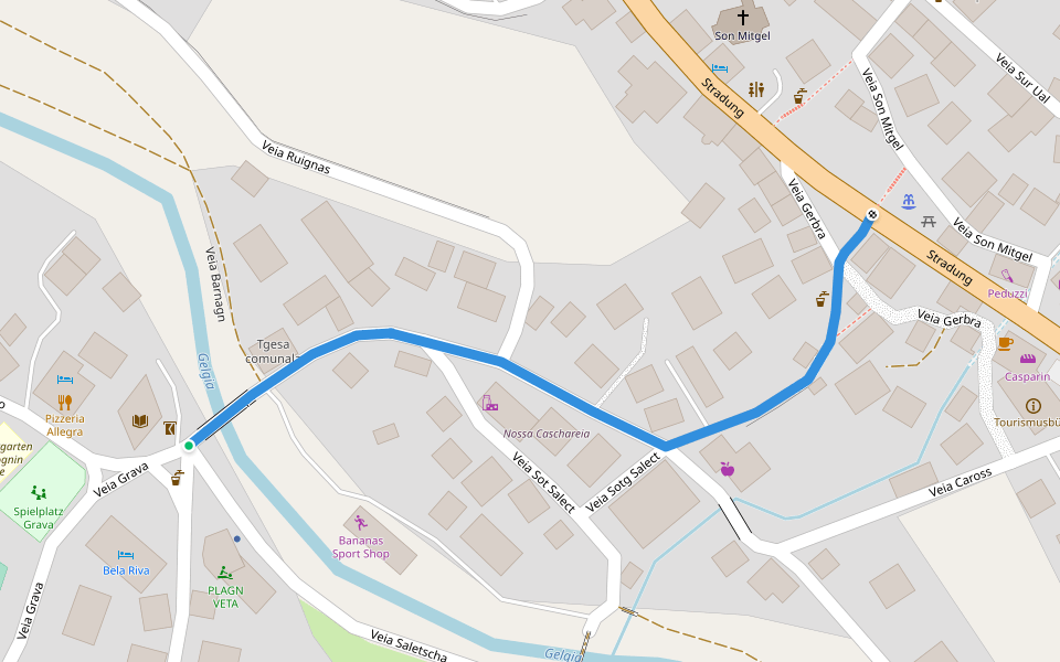 Savognin Punt Crap - Savognin Son Mitgel