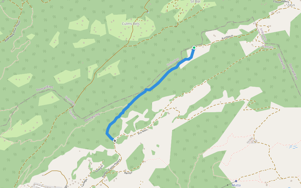 Plaun Graund - Tschetscha? / Zeus? / Juchs? - fixme walking route map in Domleschg