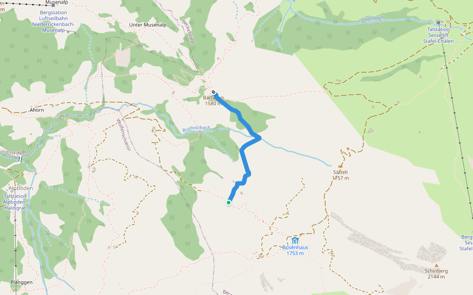 Morschfeld - Bärfallen