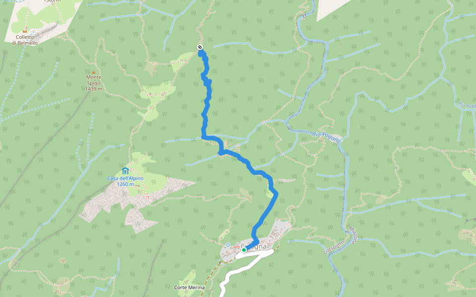 P15 - Cicogna - Cima Selva walking route map in Cicogna