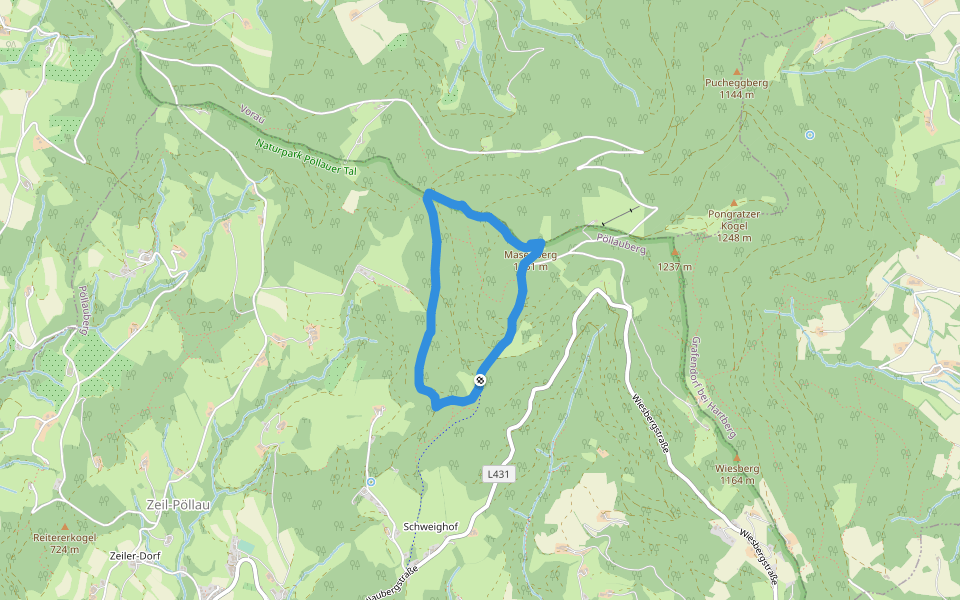Waldlehrpfad Masenberg (Kurz) walking route map in Puchegg