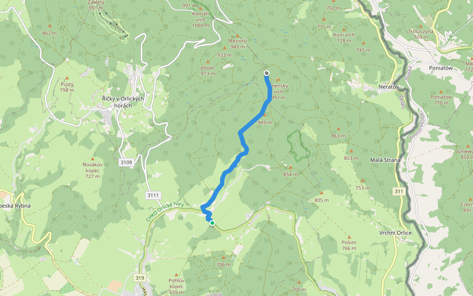 [Z] Říčky v Orl. h. - Horní Rokytnice walking route map in Rokytnice v Orlických horách