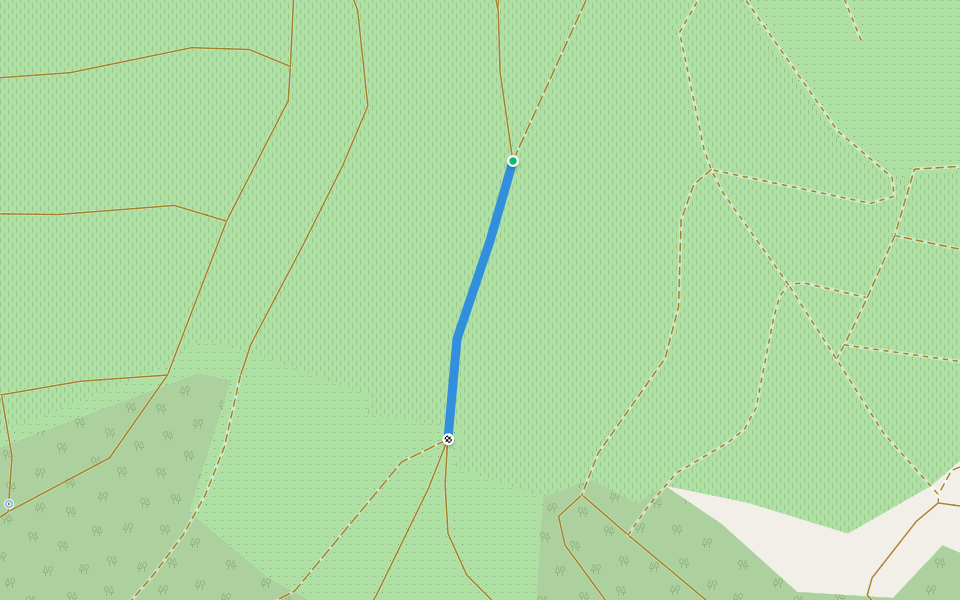 Ochsengrund - Tiergärtner Höhe