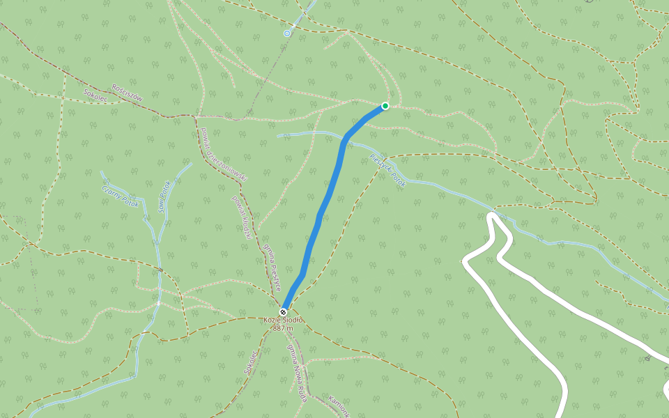 Kozie Siodło - Rozdroże nad Gołębiem walking route map in Pieszyce