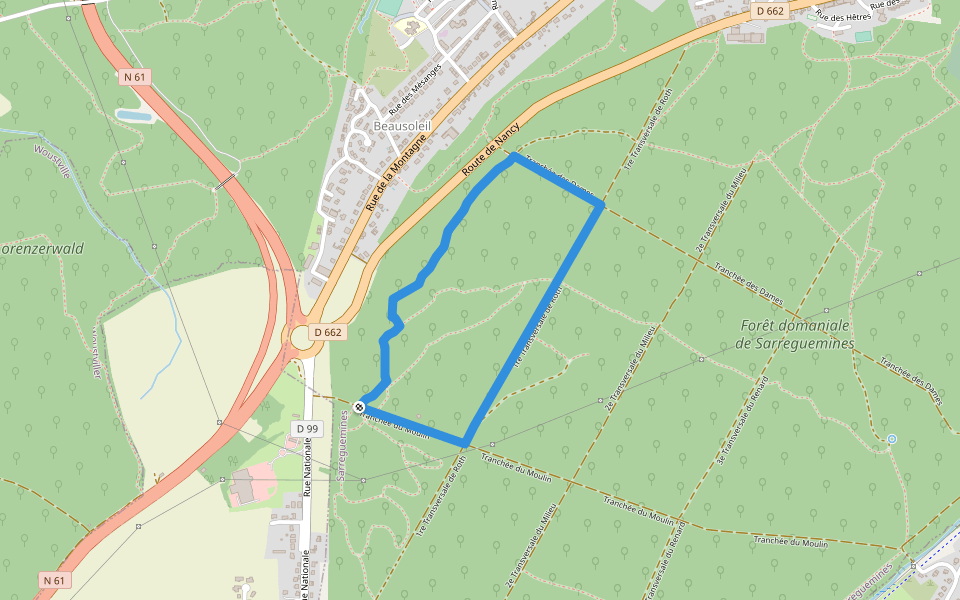 Circuit Buchholz anneau jaune walking route map in Hambach