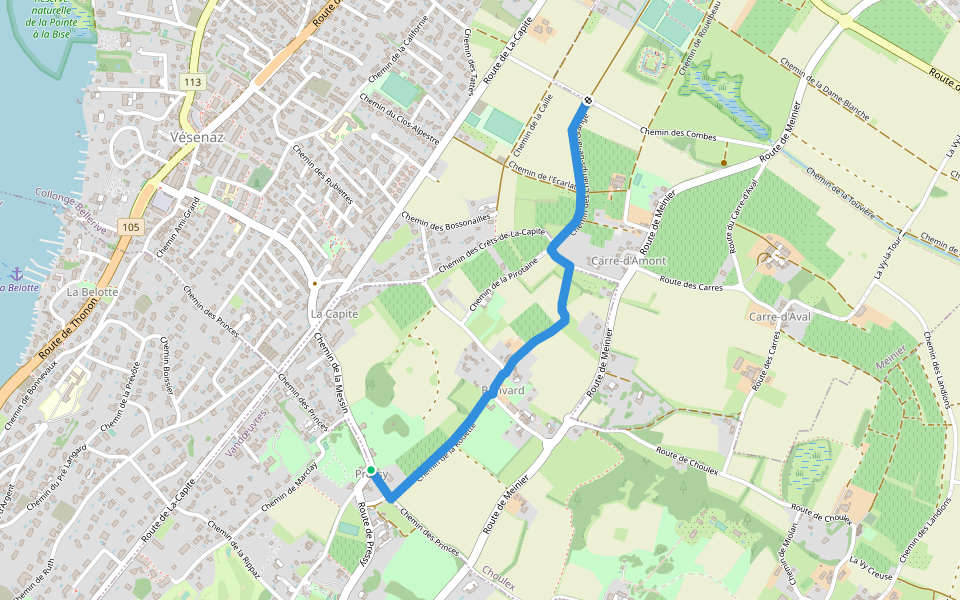 Pressy - Rouelbeau walking route map in Choulex