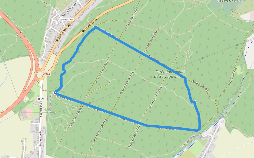 Circuit Buchholz anneau bleu walking route map in Hambach