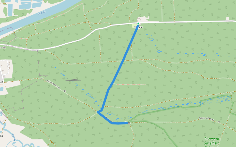 Dębowy Las walking route map in Daniele