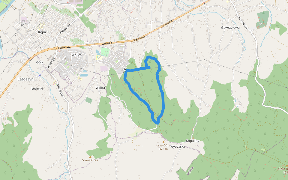 Ścieżka spacerowa Las Wolica - część zielona walking route map in Dębica