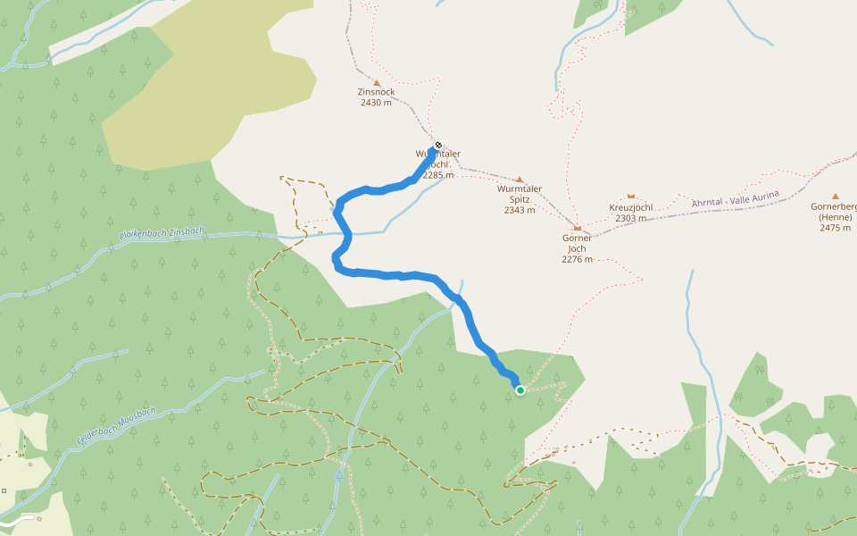 Groneralm - Wurmtalerjoch walking route map in Selva di Dentro