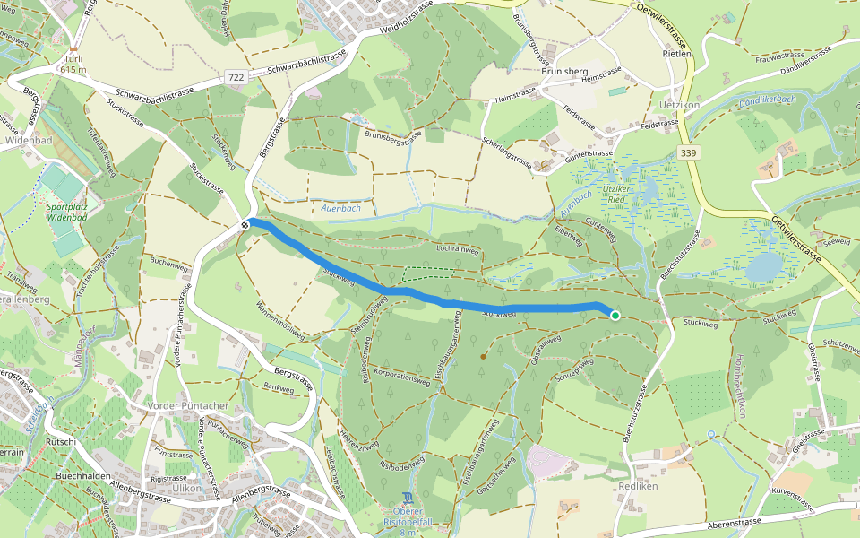 Buechstutz - Mülihölzli