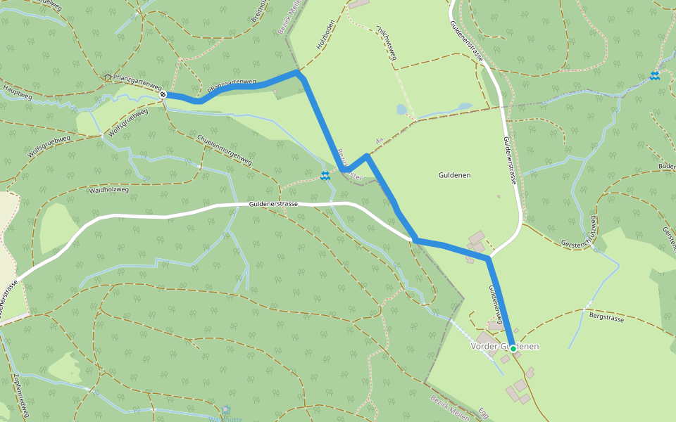 Vorderguldenen - Chüelemorgen walking route map in Forch