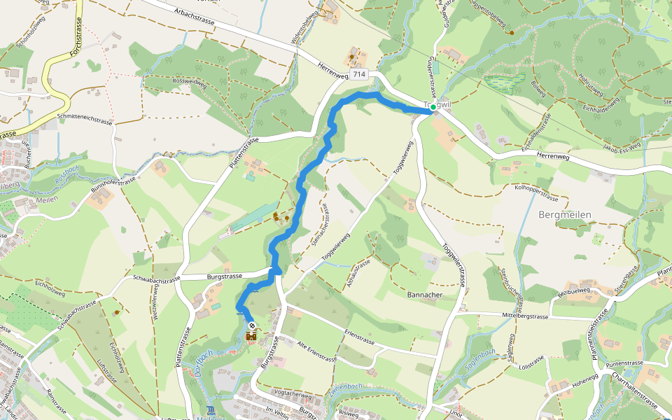 Toggwil - Rne. Friedberg walking route map in Meilen