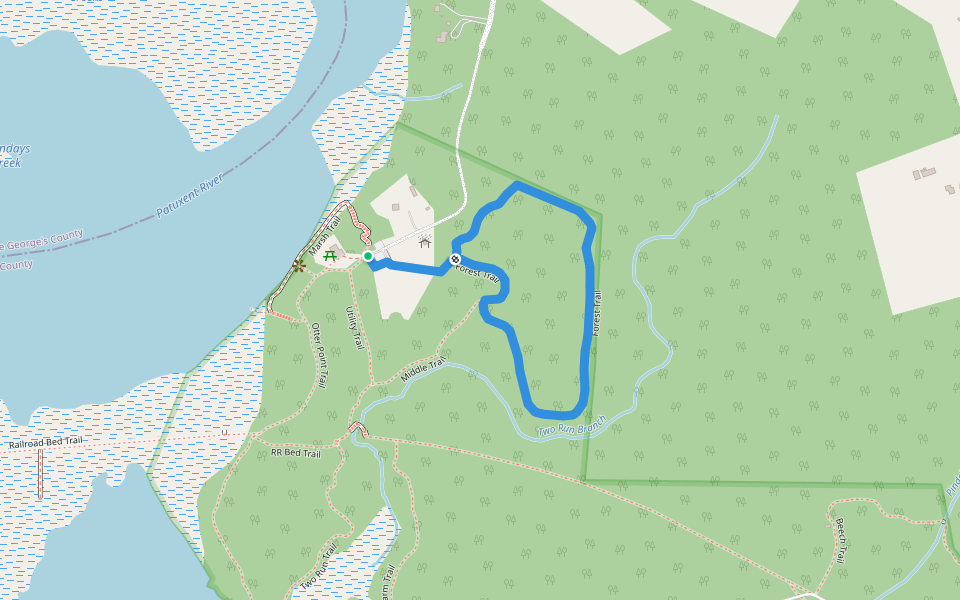 forest-trail-walking-and-running-pacer