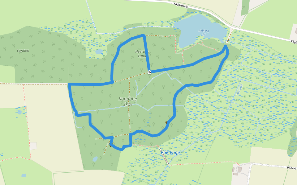 Skovsgaard - Konabbe Skov walking route map in Rudkøbing