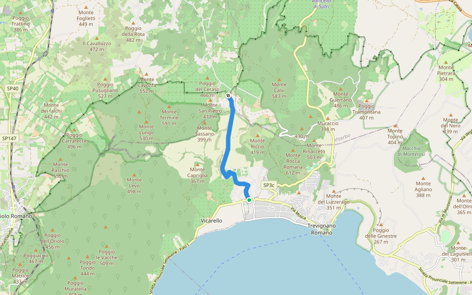 266C Provinciale Settevene Palo - Ciclovia dei Boschi 266 walking route map in Vicarello