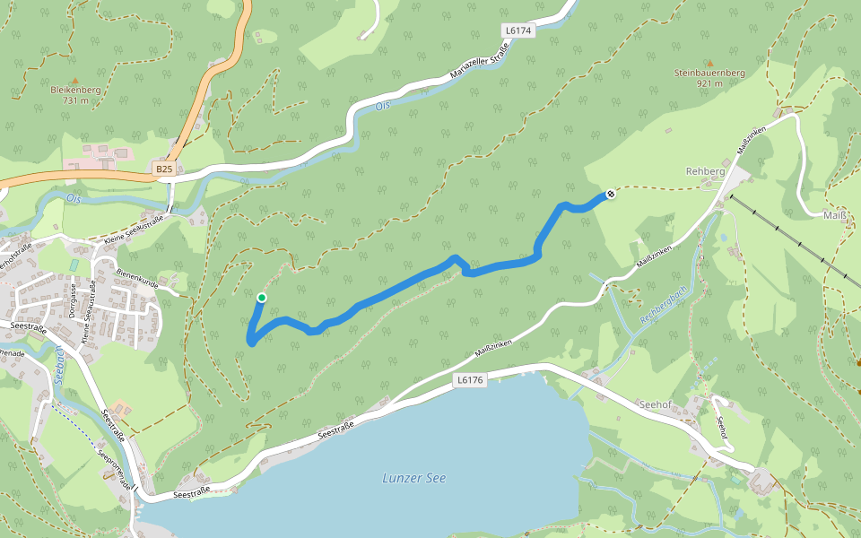 Steinbauernberg - Rehberg walking route map in Lunz am See