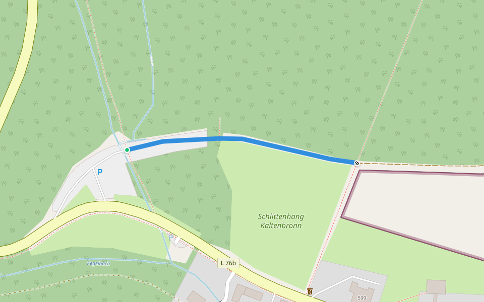 Parkplatz Kaltenbronn - Schlittenhang
