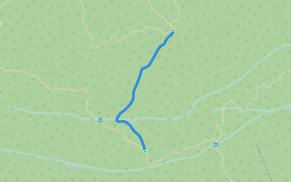 A53E - bivio A51C - bivio A53A (collegamento sentieri) walking route map in Pallanzeno