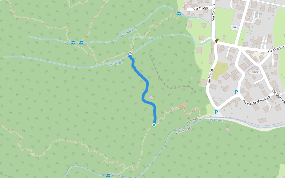 A51D - bivio A51B - bivio A51C (collegamento sentieri) walking route map in Pallanzeno