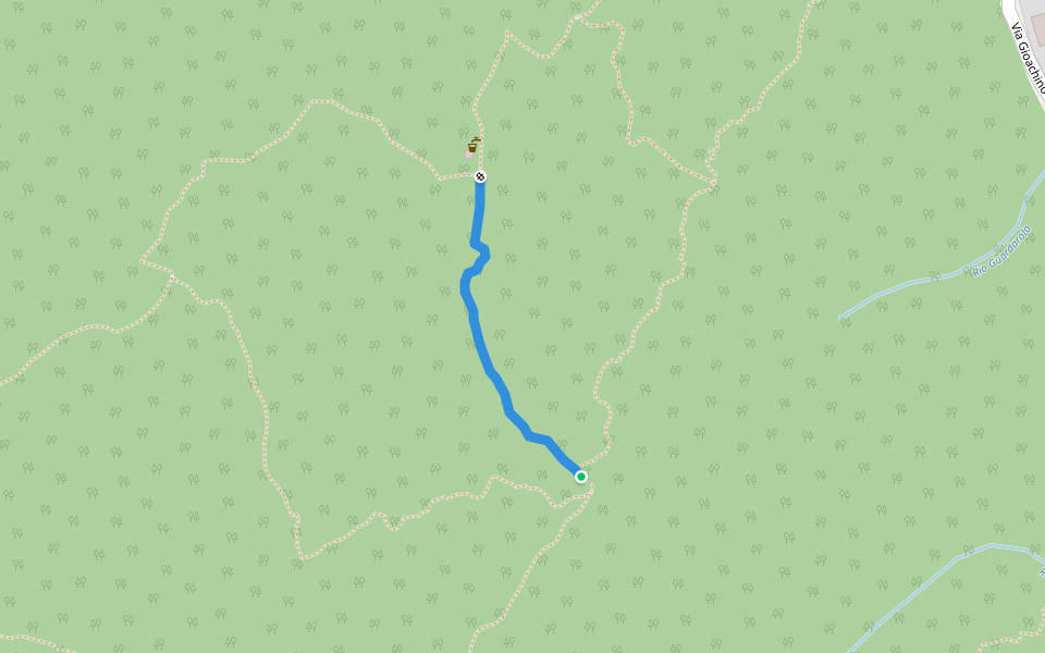 A53F - bivio A53A - bivio A53A (collegamento sentieri) walking route map in Pallanzeno