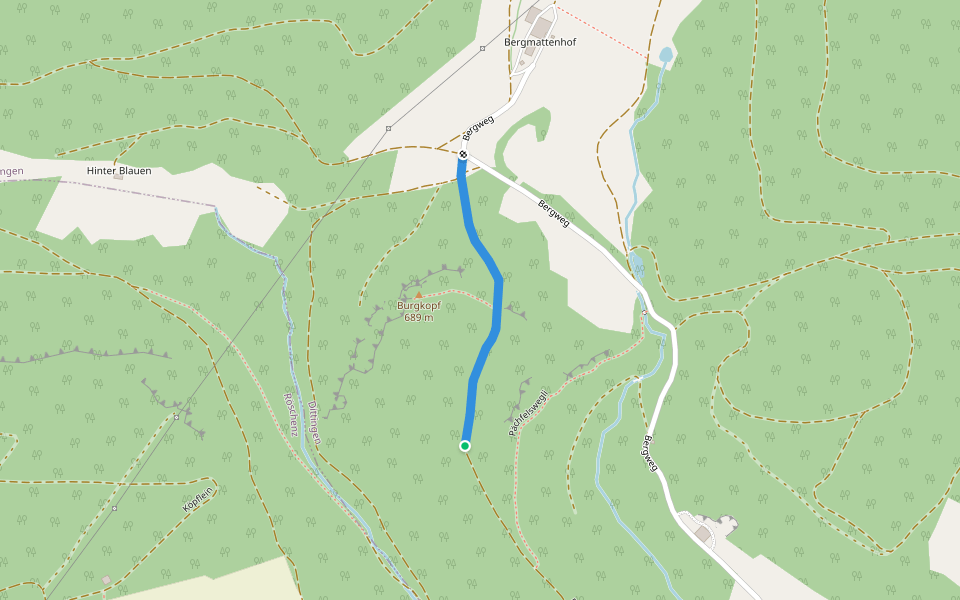 Bergmattenhof - Schachlete? - fixme walking route map in Dittingen