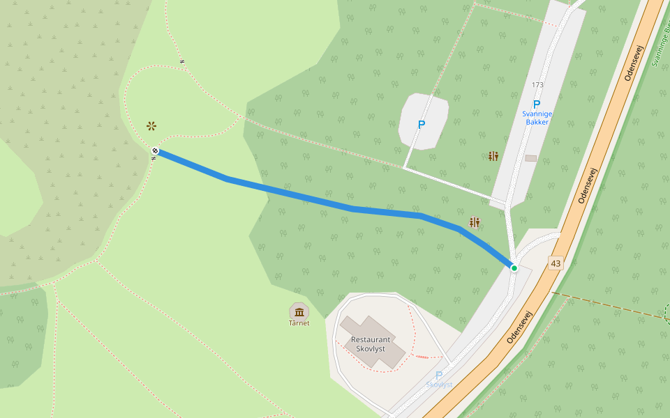 Svanninge Bakker - Rød rute