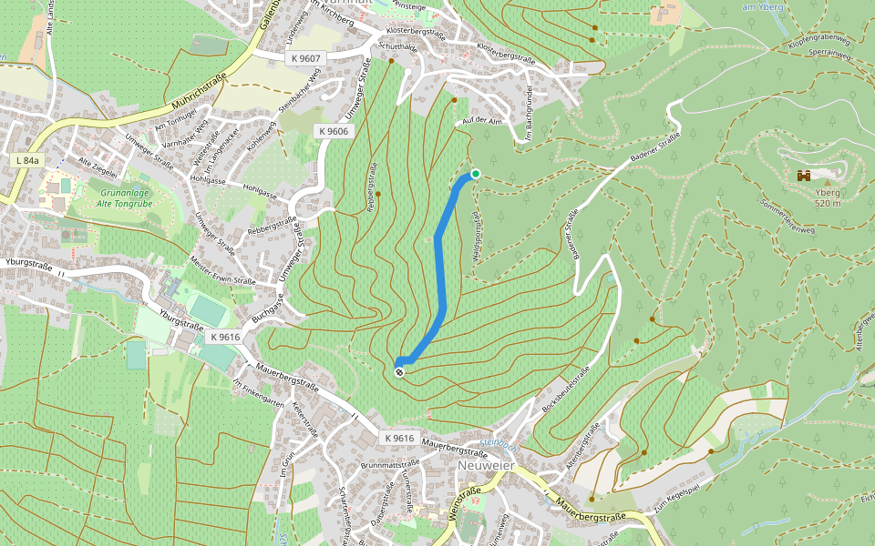 Büchelberg - Über dem Schlossberg