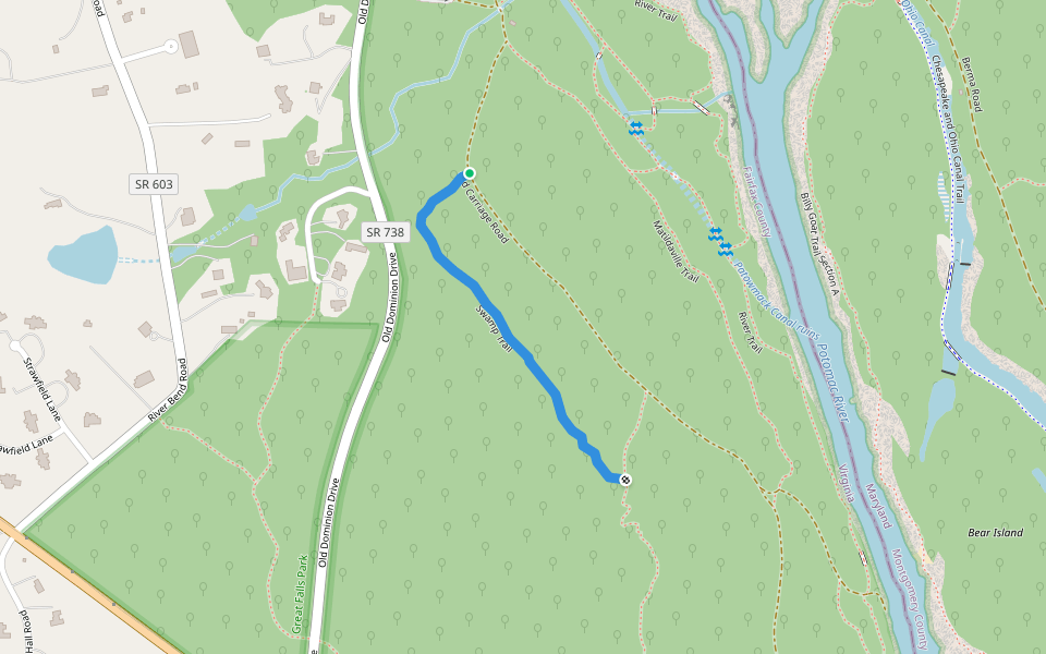 Swamp Trail walking route map in McLean