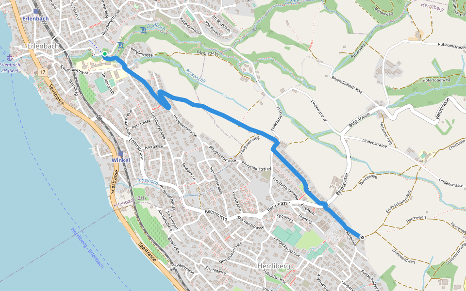 Erlenbach Dorfbach - Wängi walking route map in Erlenbach