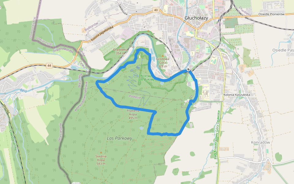 Głuchołazy Zdrój - Przednia Kopa walking route map in Głuchołazy