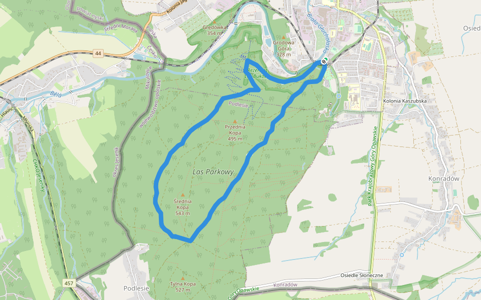 Głuchołazy Zdrój - Przełęcz Siodło walking route map in Głuchołazy