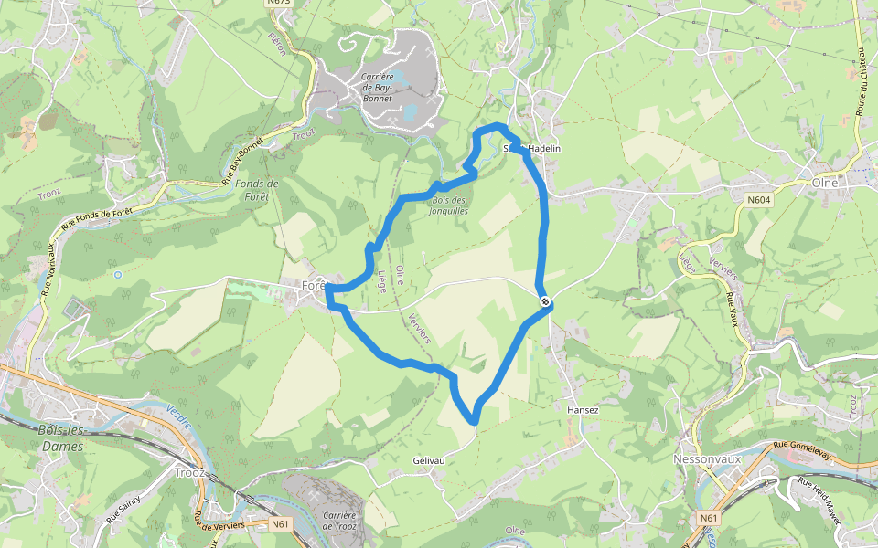 Olne : De la Magne à Olne walking route map in Olne