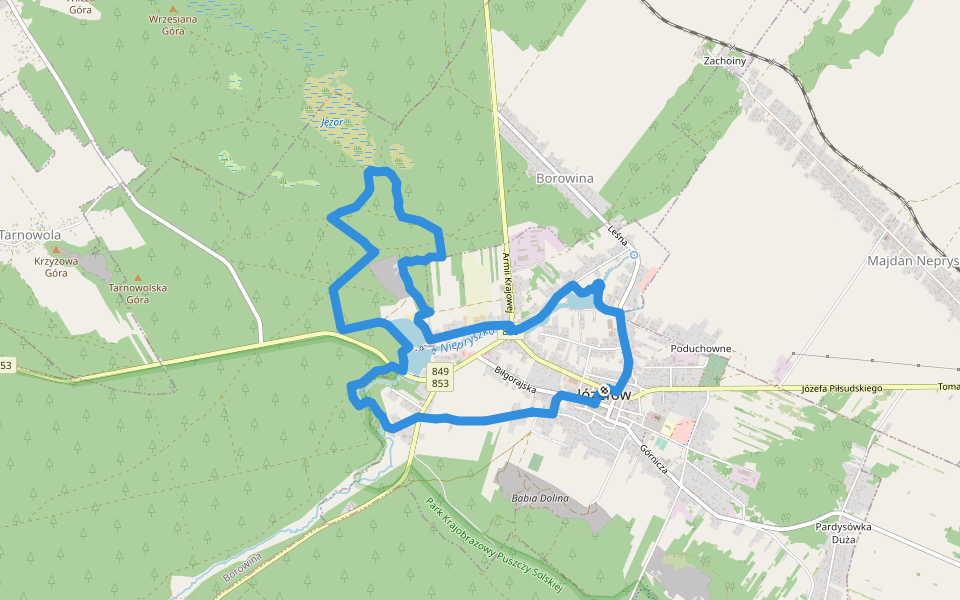 Zielona Ścieżka spacerowa walking route map in Józefów