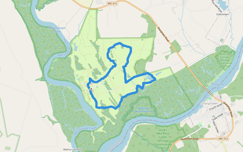 Blue Trail walking route map in Rhodesdale